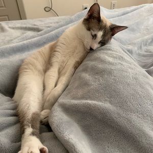 Meet your Posher, Amber